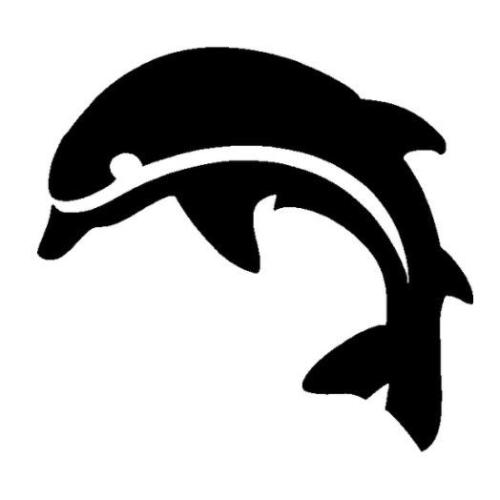 TAG Dolphin Glitter Tattoo Stencil