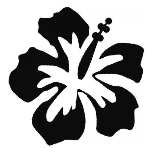 TAG Hibiscus Glitter Tattoo Stencil