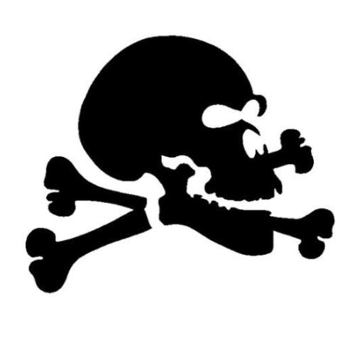 TAG Jolly Roger Glitter Tattoo Stencil