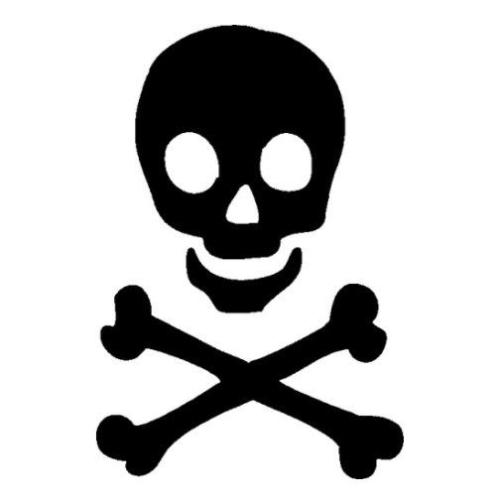 TAG Skull & Crossbone Glitter Tattoo Stencil