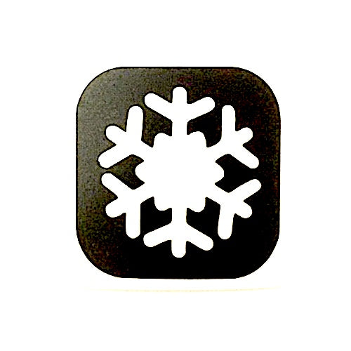 TAG Snowflake Glitter Tattoo Stencil